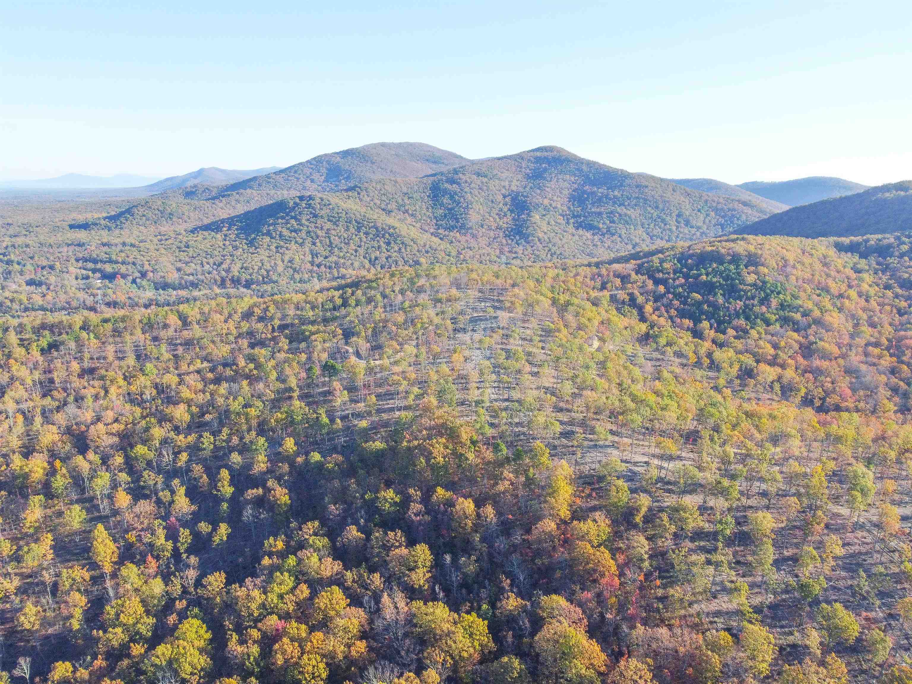 TBD CALF MOUNTAIN RD, WAYNESBORO, Virginia 22980, ,Farm,14,TBD CALF MOUNTAIN RD,644972 MLS # 644972