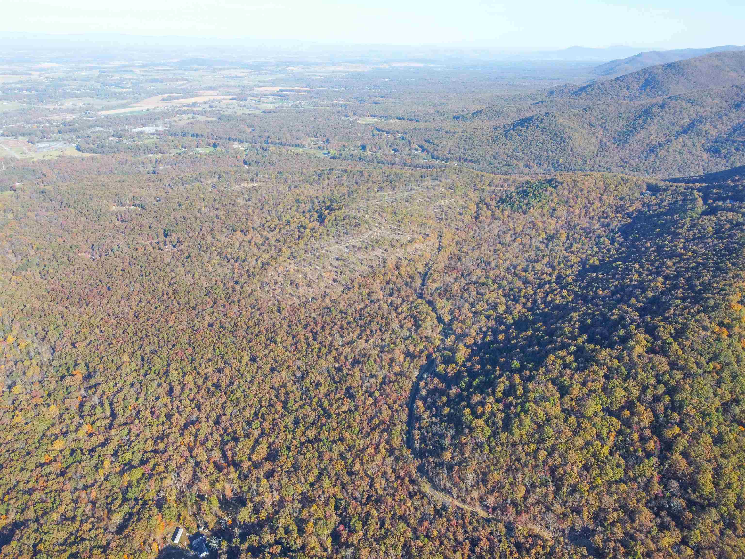 TBD CALF MOUNTAIN RD, WAYNESBORO, Virginia 22980, ,Farm,14,TBD CALF MOUNTAIN RD,644972 MLS # 644972