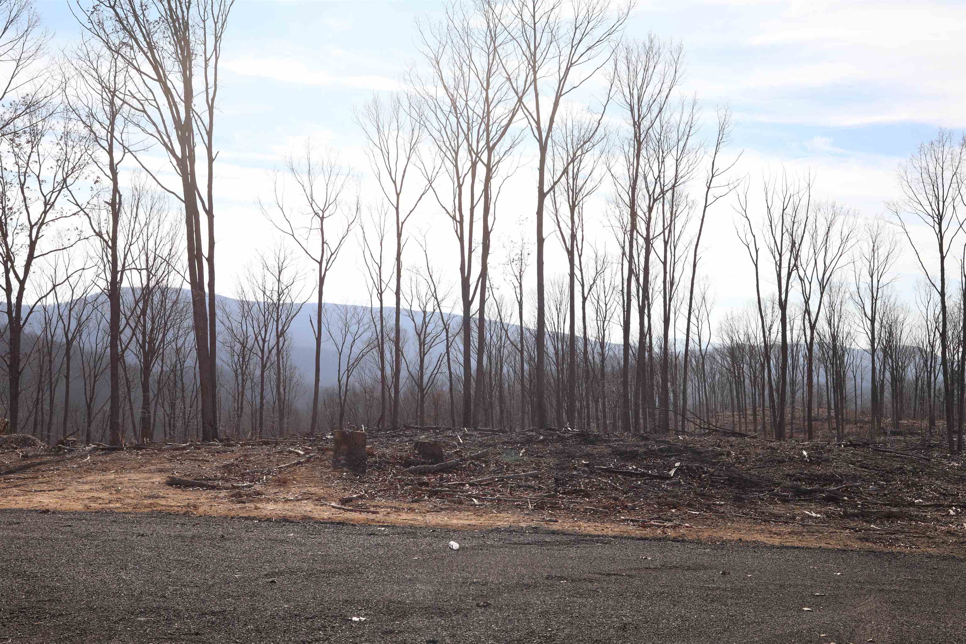 TBD CALF MOUNTAIN RD, WAYNESBORO, Virginia 22980, ,Farm,14,TBD CALF MOUNTAIN RD,644972 MLS # 644972