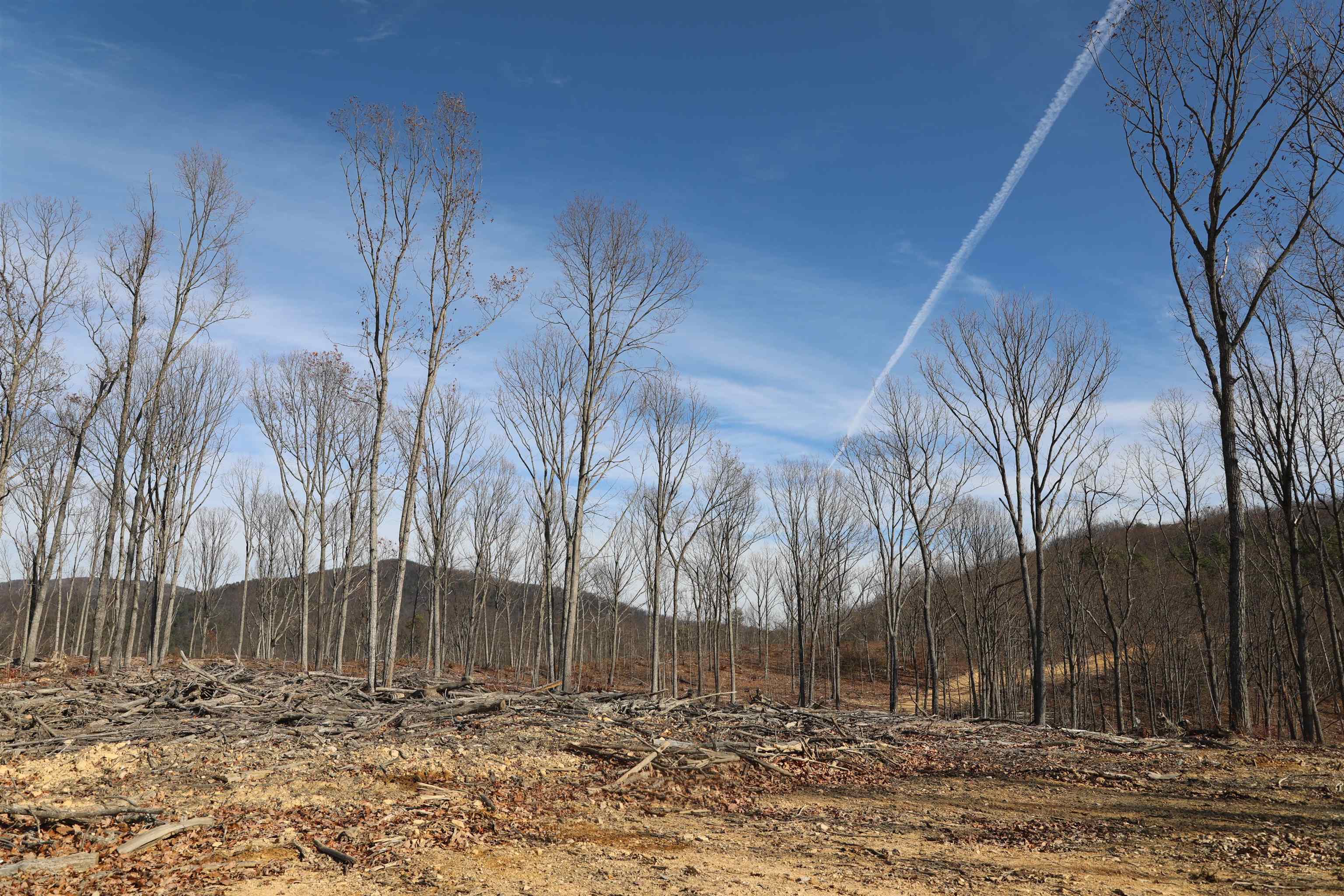 TBD CALF MOUNTAIN RD, WAYNESBORO, Virginia 22980, ,Farm,14,TBD CALF MOUNTAIN RD,644972 MLS # 644972