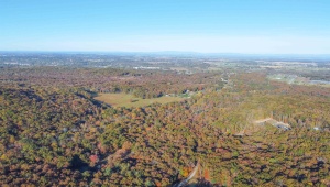 TBD CALF MOUNTAIN RD, WAYNESBORO, Virginia 22980, ,Farm,14,TBD CALF MOUNTAIN RD,644972 MLS # 644972