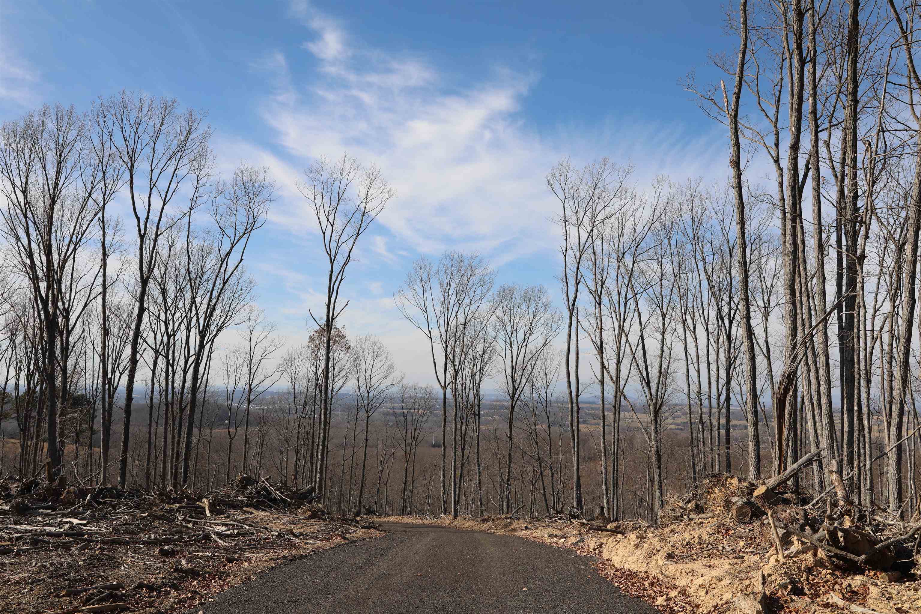 TBD1 CALF MOUNTAIN RD, WAYNESBORO, Virginia 22980, ,Farm,14,TBD1 CALF MOUNTAIN RD,644970 MLS # 644970