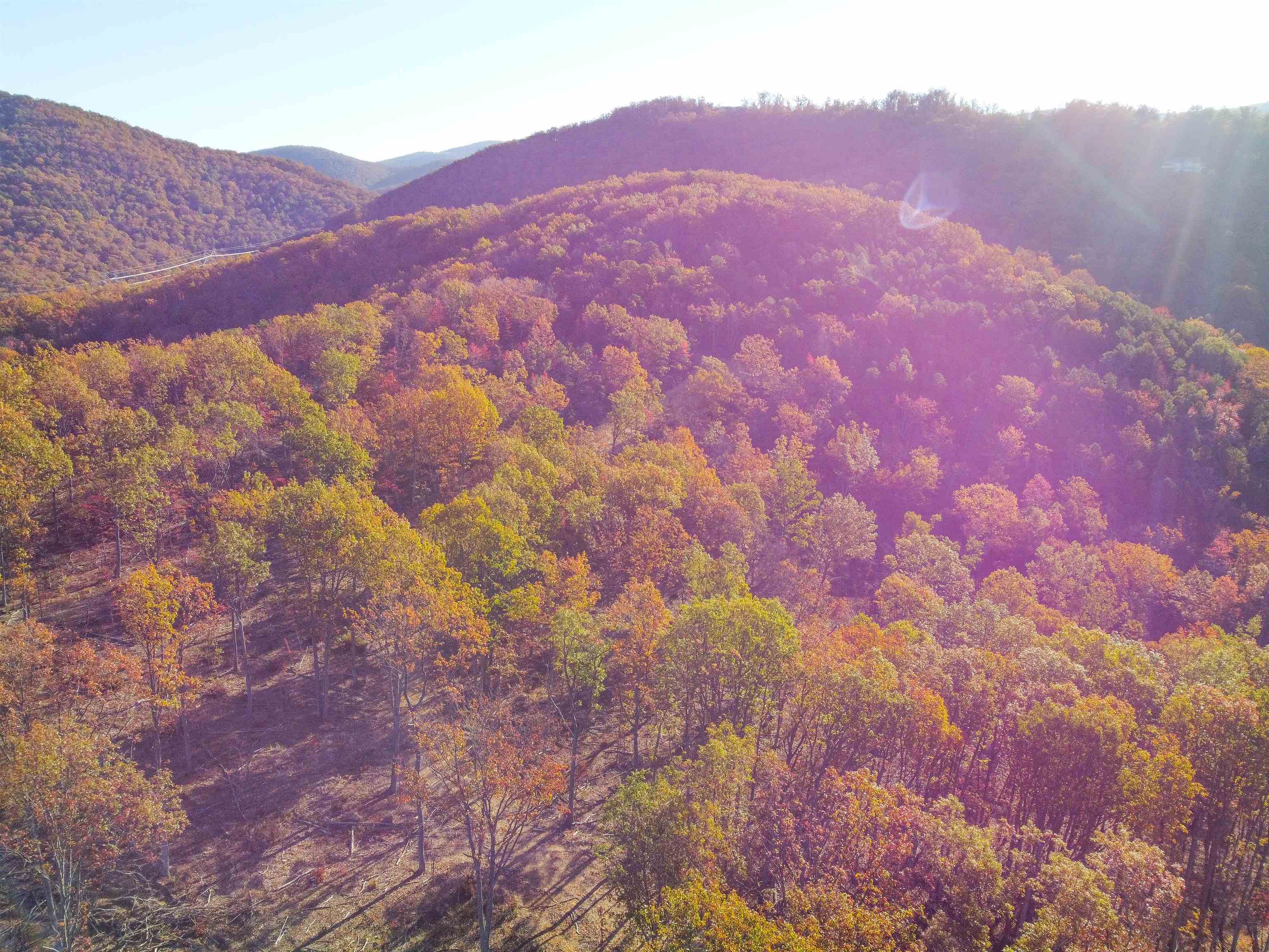 TBD1 CALF MOUNTAIN RD, WAYNESBORO, Virginia 22980, ,Farm,14,TBD1 CALF MOUNTAIN RD,644970 MLS # 644970