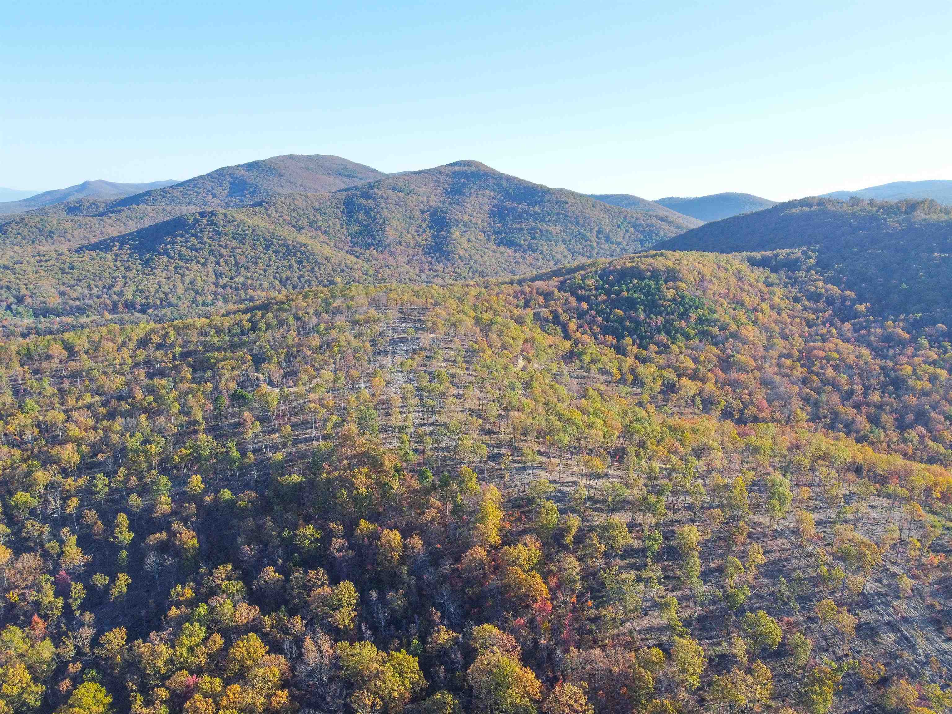 TBD1 CALF MOUNTAIN RD, WAYNESBORO, Virginia 22980, ,Farm,14,TBD1 CALF MOUNTAIN RD,644970 MLS # 644970