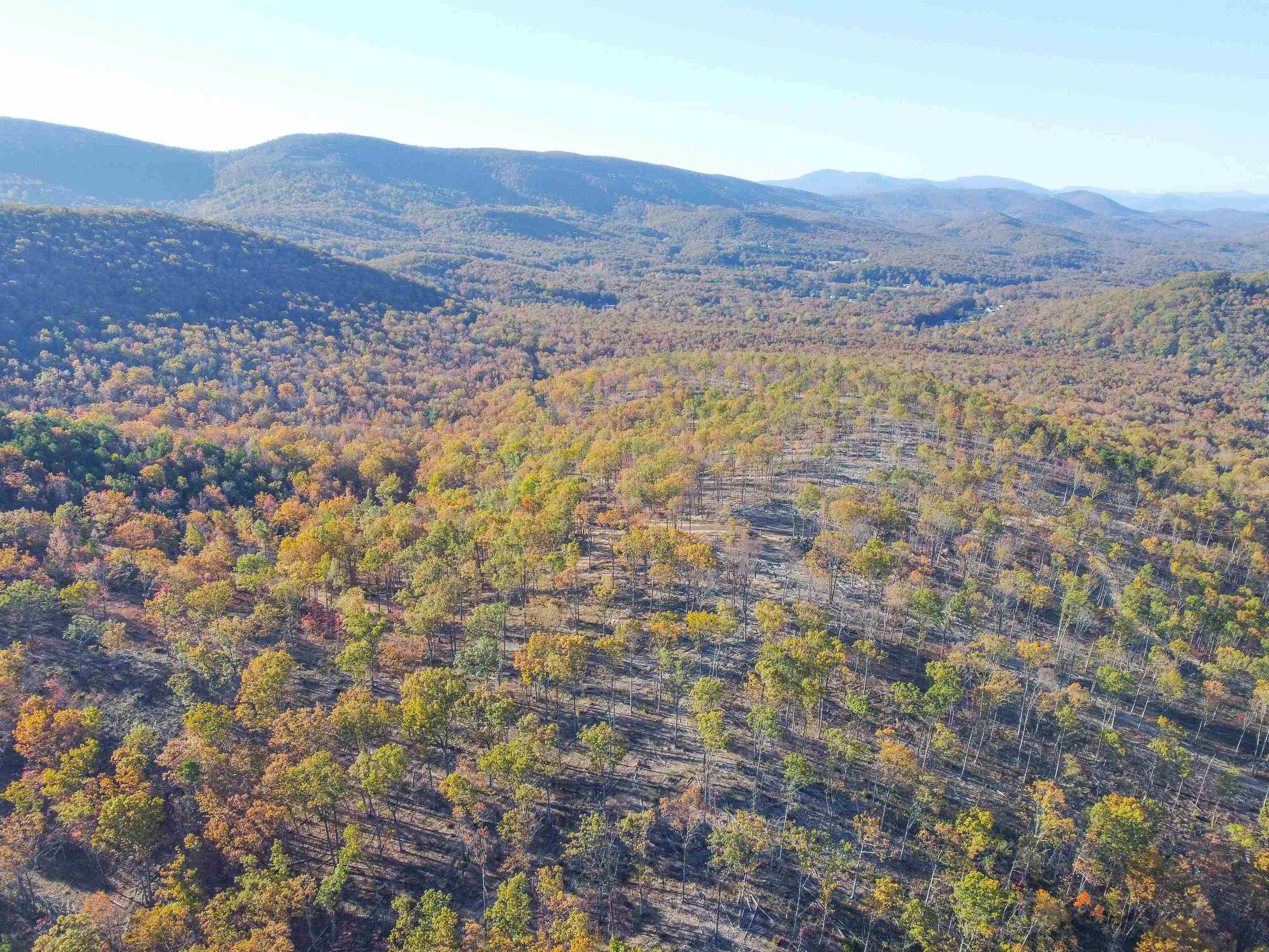 TBD1 CALF MOUNTAIN RD, WAYNESBORO, Virginia 22980, ,Farm,14,TBD1 CALF MOUNTAIN RD,644970 MLS # 644970