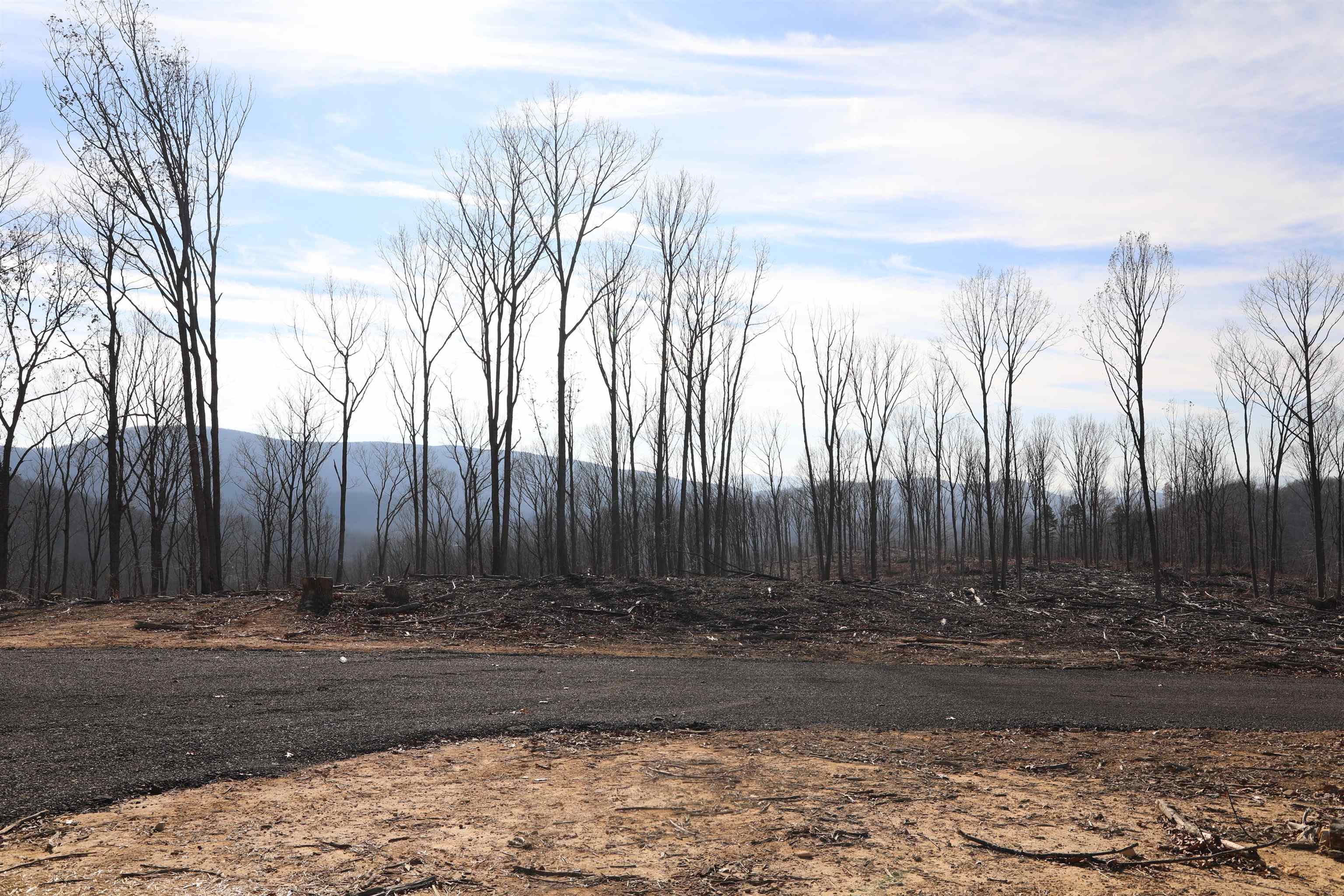 TBD1 CALF MOUNTAIN RD, WAYNESBORO, Virginia 22980, ,Farm,14,TBD1 CALF MOUNTAIN RD,644970 MLS # 644970