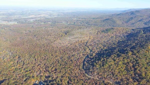 TBD1 CALF MOUNTAIN RD, WAYNESBORO, Virginia 22980, ,Farm,14,TBD1 CALF MOUNTAIN RD,644970 MLS # 644970