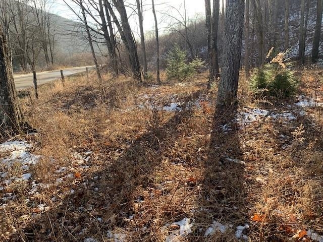 TBD UPPER BACK CREEK RD, MONTEREY, Virginia 24465, ,Farm,14,TBD UPPER BACK CREEK RD,672161 MLS # 672161