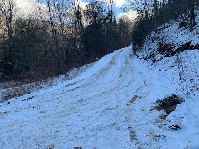 TBD UPPER BACK CREEK RD, MONTEREY, Virginia 24465, ,Farm,14,TBD UPPER BACK CREEK RD,672161 MLS # 672161