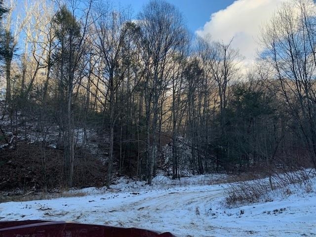 TBD UPPER BACK CREEK RD, MONTEREY, Virginia 24465, ,Farm,14,TBD UPPER BACK CREEK RD,672161 MLS # 672161