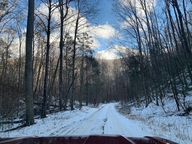 TBD UPPER BACK CREEK RD, MONTEREY, Virginia 24465, ,Farm,14,TBD UPPER BACK CREEK RD,672161 MLS # 672161