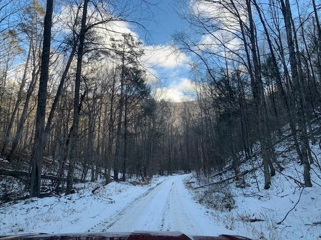 TBD UPPER BACK CREEK RD, MONTEREY, Virginia 24465, ,Farm,14,TBD UPPER BACK CREEK RD,672161 MLS # 672161