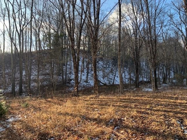 TBD UPPER BACK CREEK RD, MONTEREY, Virginia 24465, ,Farm,14,TBD UPPER BACK CREEK RD,672161 MLS # 672161