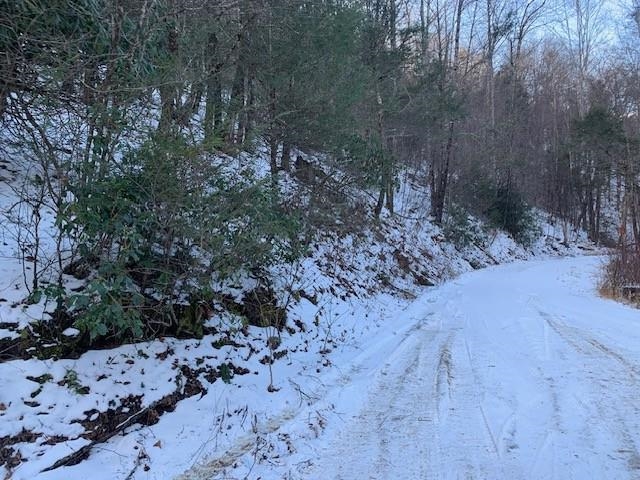 TBD UPPER BACK CREEK RD, MONTEREY, Virginia 24465, ,Farm,14,TBD UPPER BACK CREEK RD,672161 MLS # 672161