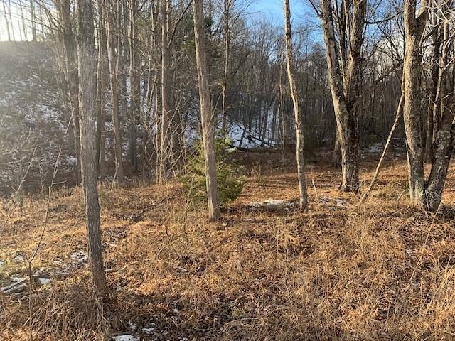 TBD UPPER BACK CREEK RD, MONTEREY, Virginia 24465, ,Farm,14,TBD UPPER BACK CREEK RD,672161 MLS # 672161