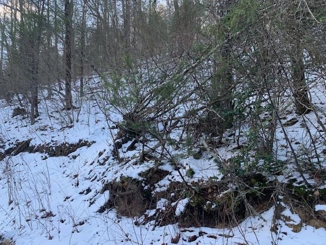 TBD UPPER BACK CREEK RD, MONTEREY, Virginia 24465, ,Farm,14,TBD UPPER BACK CREEK RD,672161 MLS # 672161