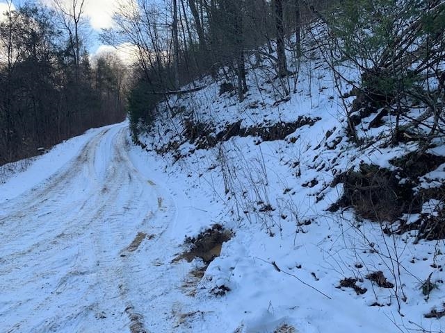 TBD UPPER BACK CREEK RD, MONTEREY, Virginia 24465, ,Farm,14,TBD UPPER BACK CREEK RD,672161 MLS # 672161