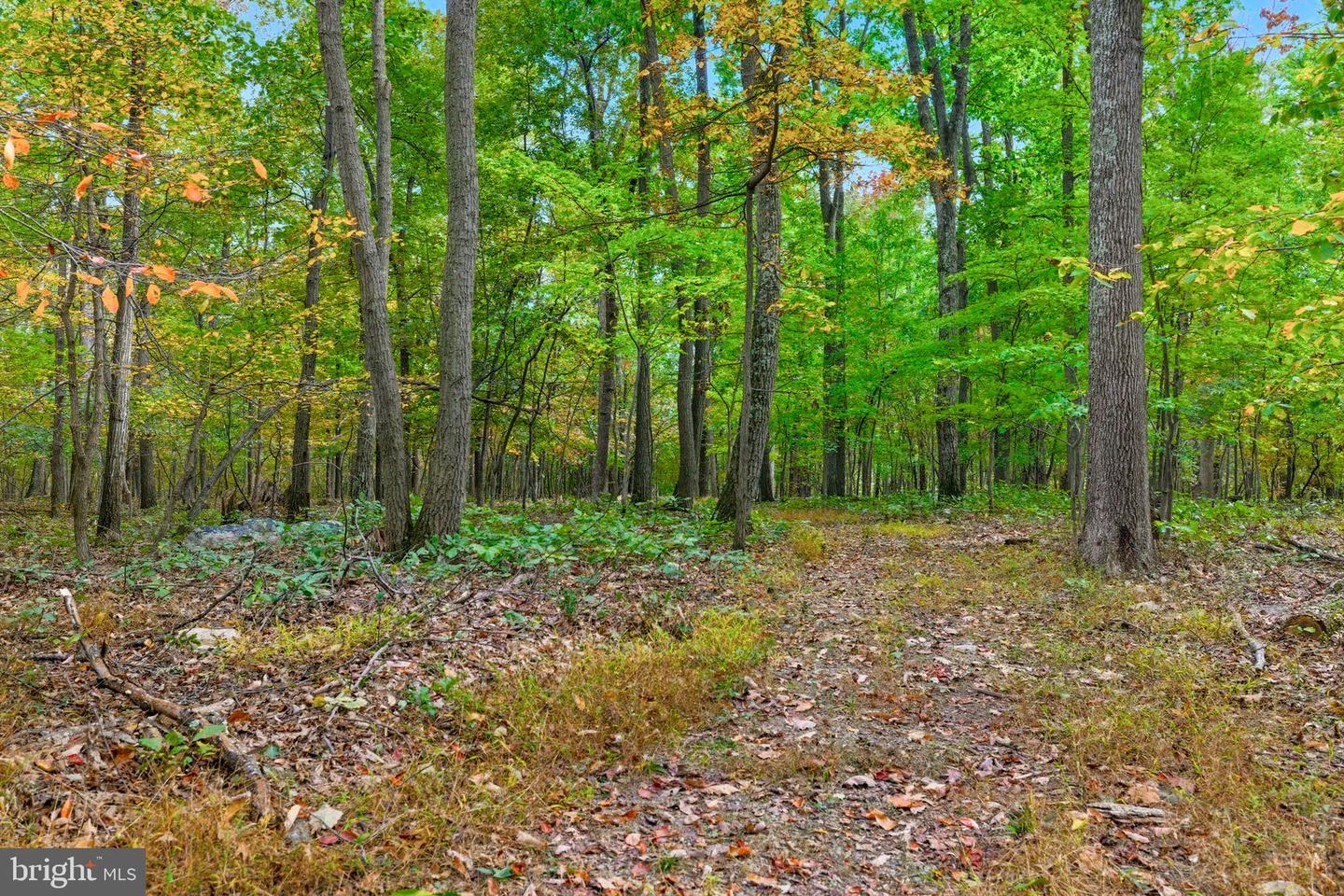 APPALACIAN TRAIL RD, ROUND HILL, Virginia 20141, ,Land,For Sale,APPALACIAN TRAIL RD,VALO2108460 MLS # VALO2108460