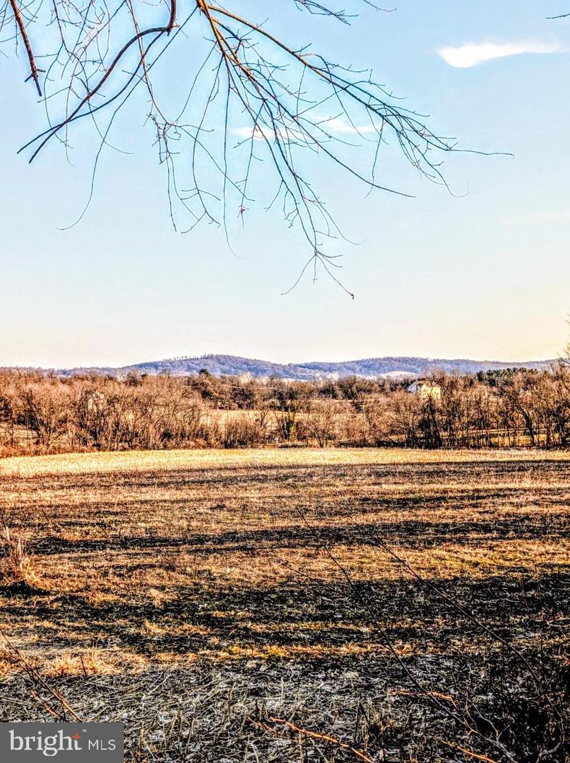 40455 QUARTER BRANCH RD, LOVETTSVILLE, Virginia 20180, ,Land,For Sale,40455 QUARTER BRANCH RD,VALO2113386 MLS # VALO2113386