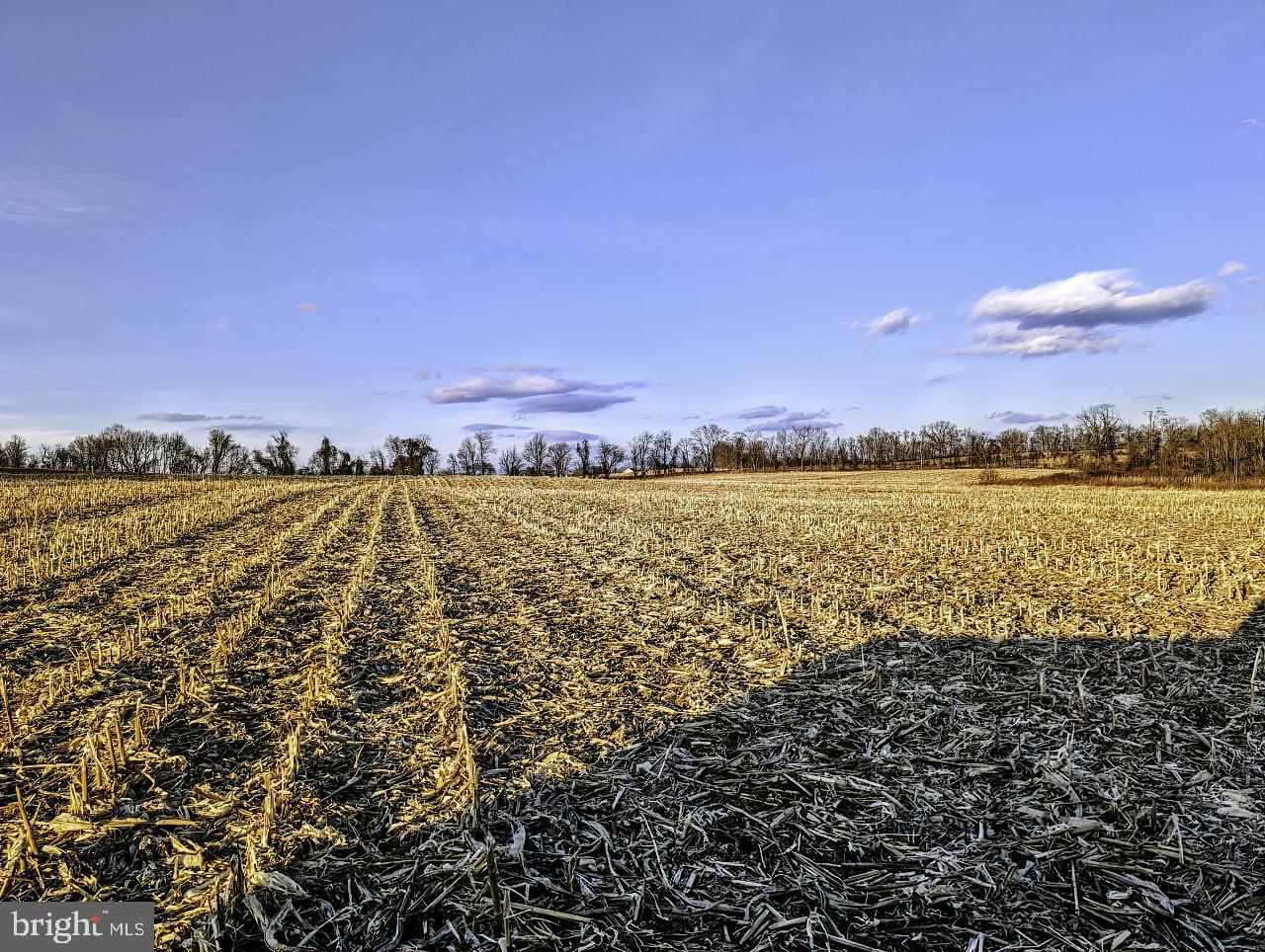 40455 QUARTER BRANCH RD, LOVETTSVILLE, Virginia 20180, ,Land,For Sale,40455 QUARTER BRANCH RD,VALO2113386 MLS # VALO2113386