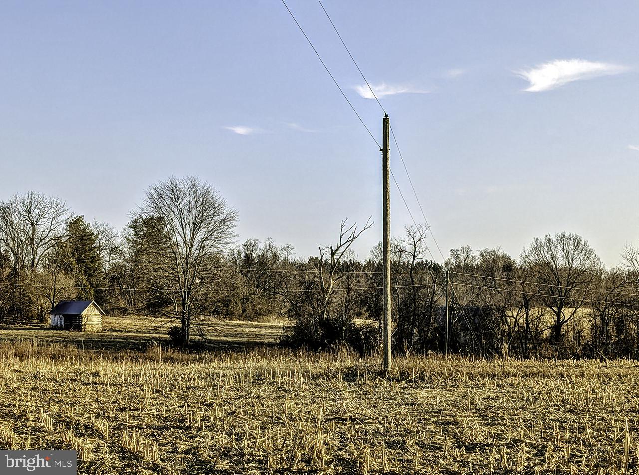 40455 QUARTER BRANCH RD, LOVETTSVILLE, Virginia 20180, ,Land,For Sale,40455 QUARTER BRANCH RD,VALO2113386 MLS # VALO2113386