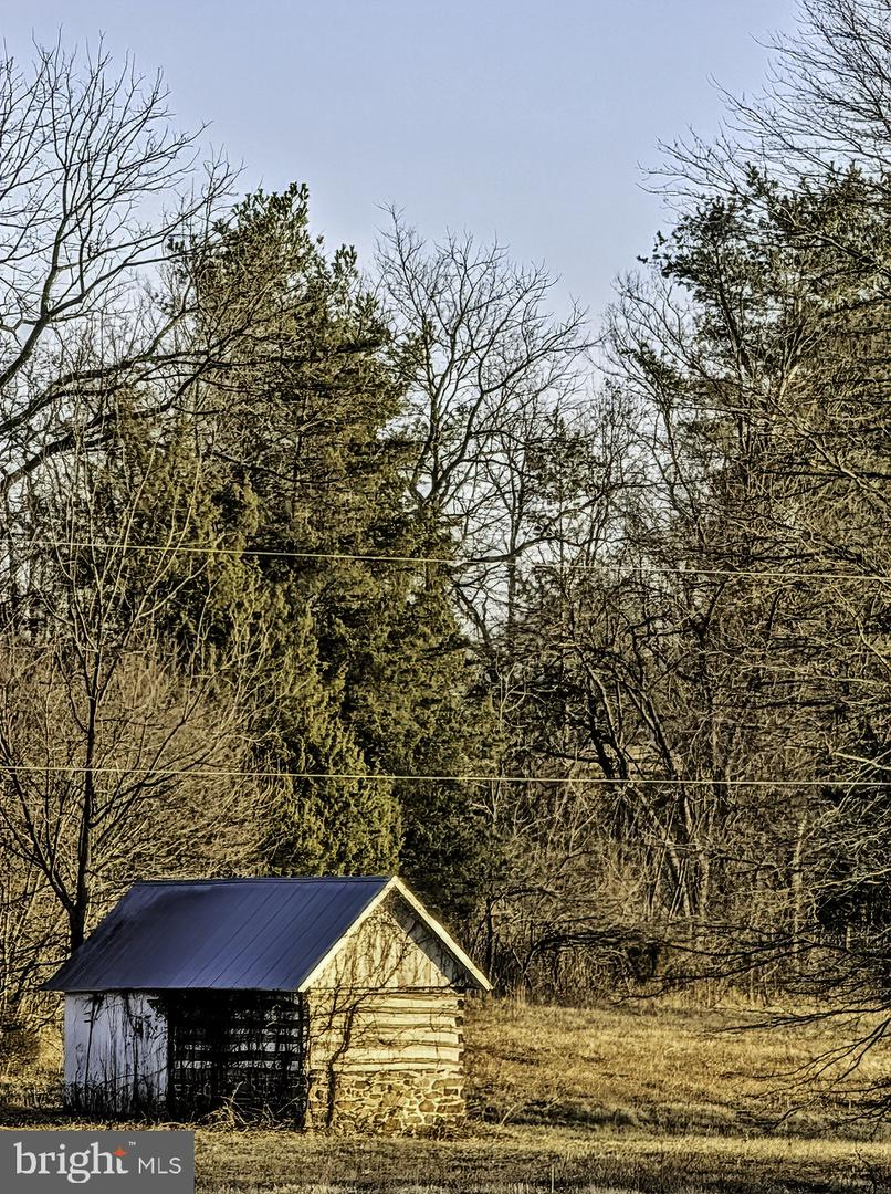 40455 QUARTER BRANCH RD, LOVETTSVILLE, Virginia 20180, ,Land,For Sale,40455 QUARTER BRANCH RD,VALO2113386 MLS # VALO2113386