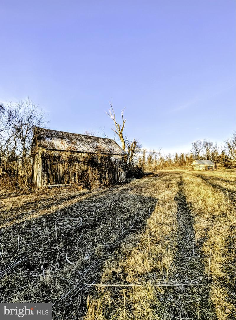 40455 QUARTER BRANCH RD, LOVETTSVILLE, Virginia 20180, ,Land,For Sale,40455 QUARTER BRANCH RD,VALO2113386 MLS # VALO2113386