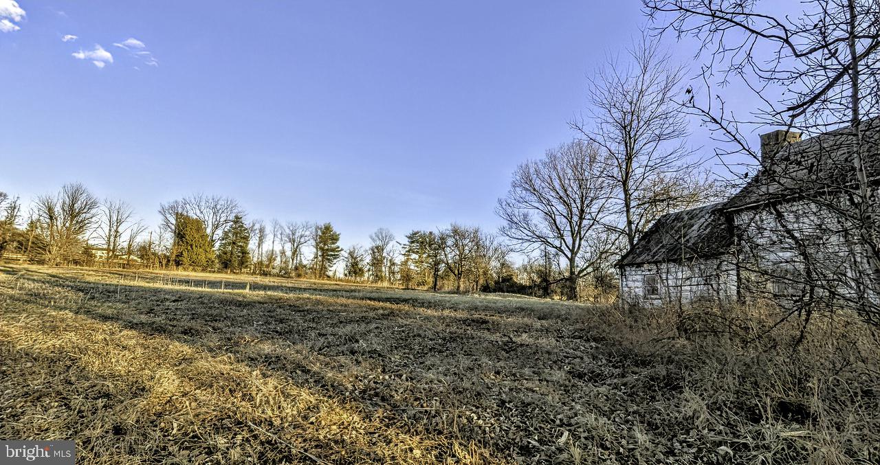 40455 QUARTER BRANCH RD, LOVETTSVILLE, Virginia 20180, ,Land,For Sale,40455 QUARTER BRANCH RD,VALO2113386 MLS # VALO2113386