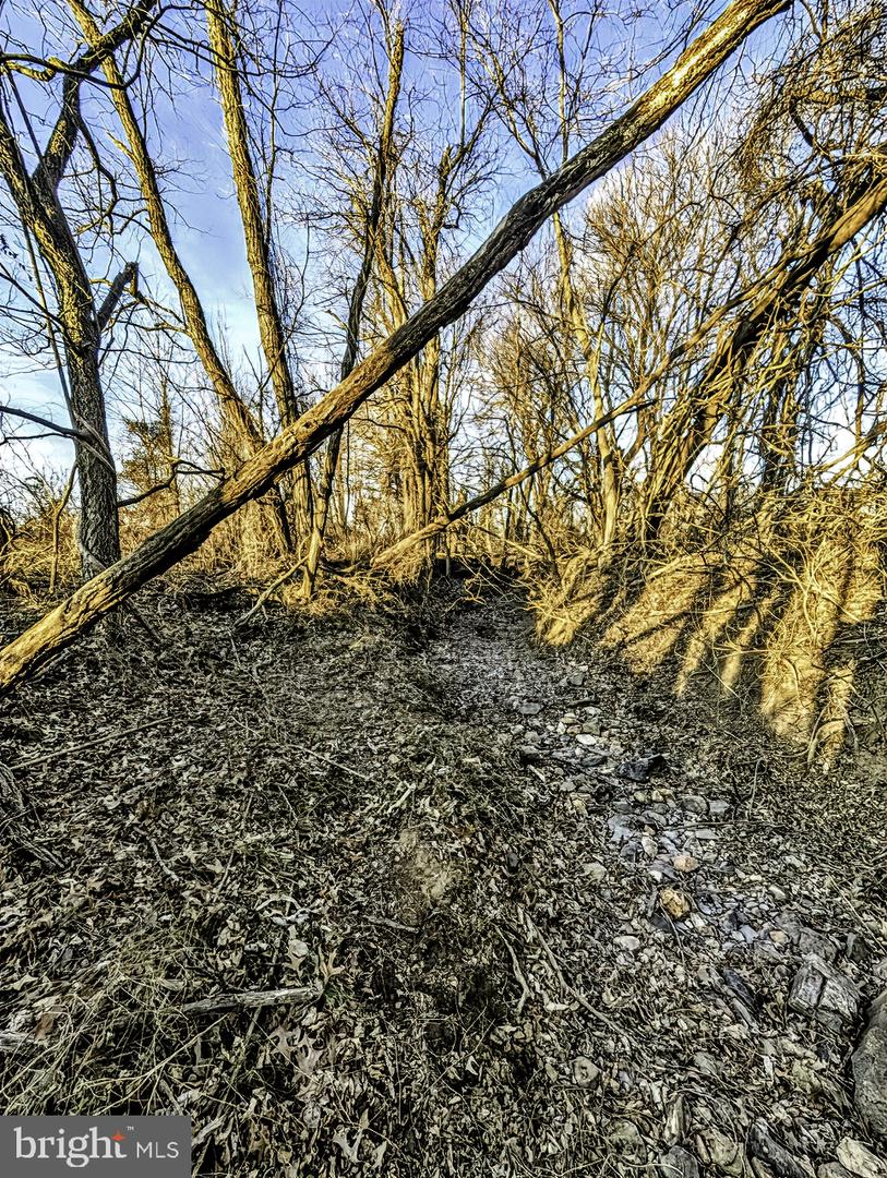 40455 QUARTER BRANCH RD, LOVETTSVILLE, Virginia 20180, ,Land,For Sale,40455 QUARTER BRANCH RD,VALO2113386 MLS # VALO2113386