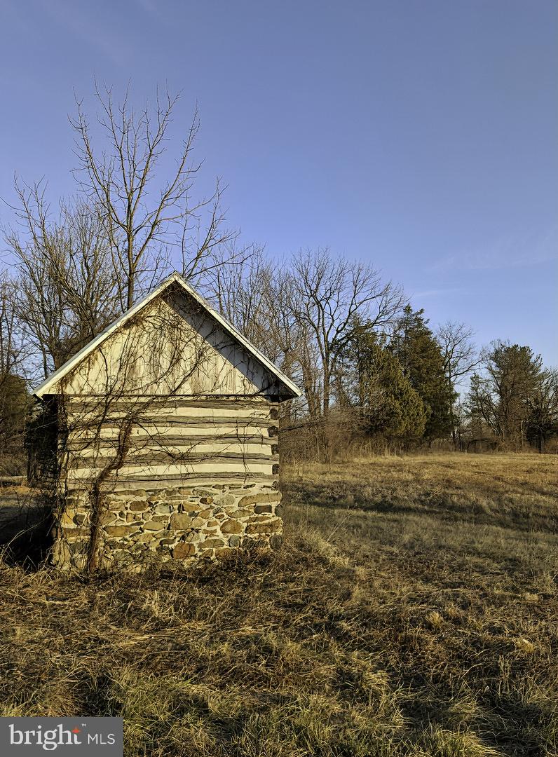 40455 QUARTER BRANCH RD, LOVETTSVILLE, Virginia 20180, ,Land,For Sale,40455 QUARTER BRANCH RD,VALO2113386 MLS # VALO2113386