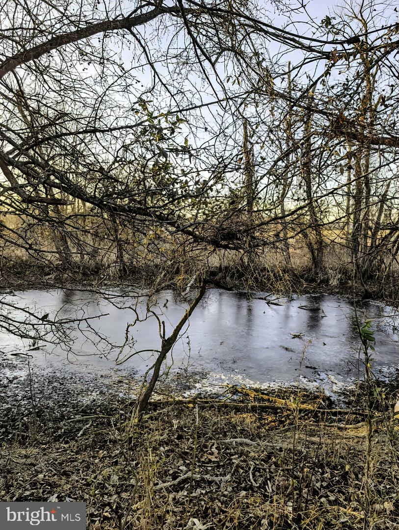 40455 QUARTER BRANCH RD, LOVETTSVILLE, Virginia 20180, ,Land,For Sale,40455 QUARTER BRANCH RD,VALO2113386 MLS # VALO2113386