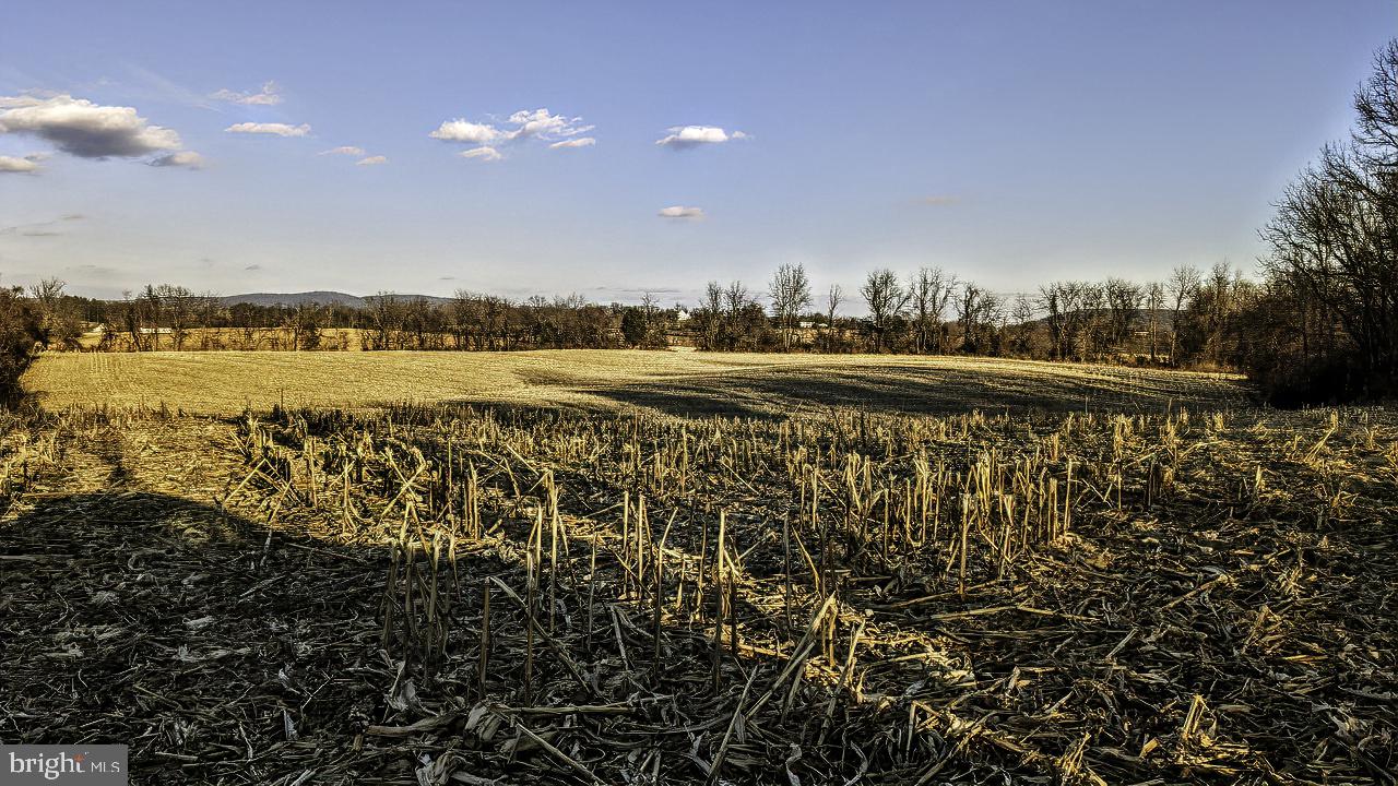 40455 QUARTER BRANCH RD, LOVETTSVILLE, Virginia 20180, ,Land,For Sale,40455 QUARTER BRANCH RD,VALO2113386 MLS # VALO2113386