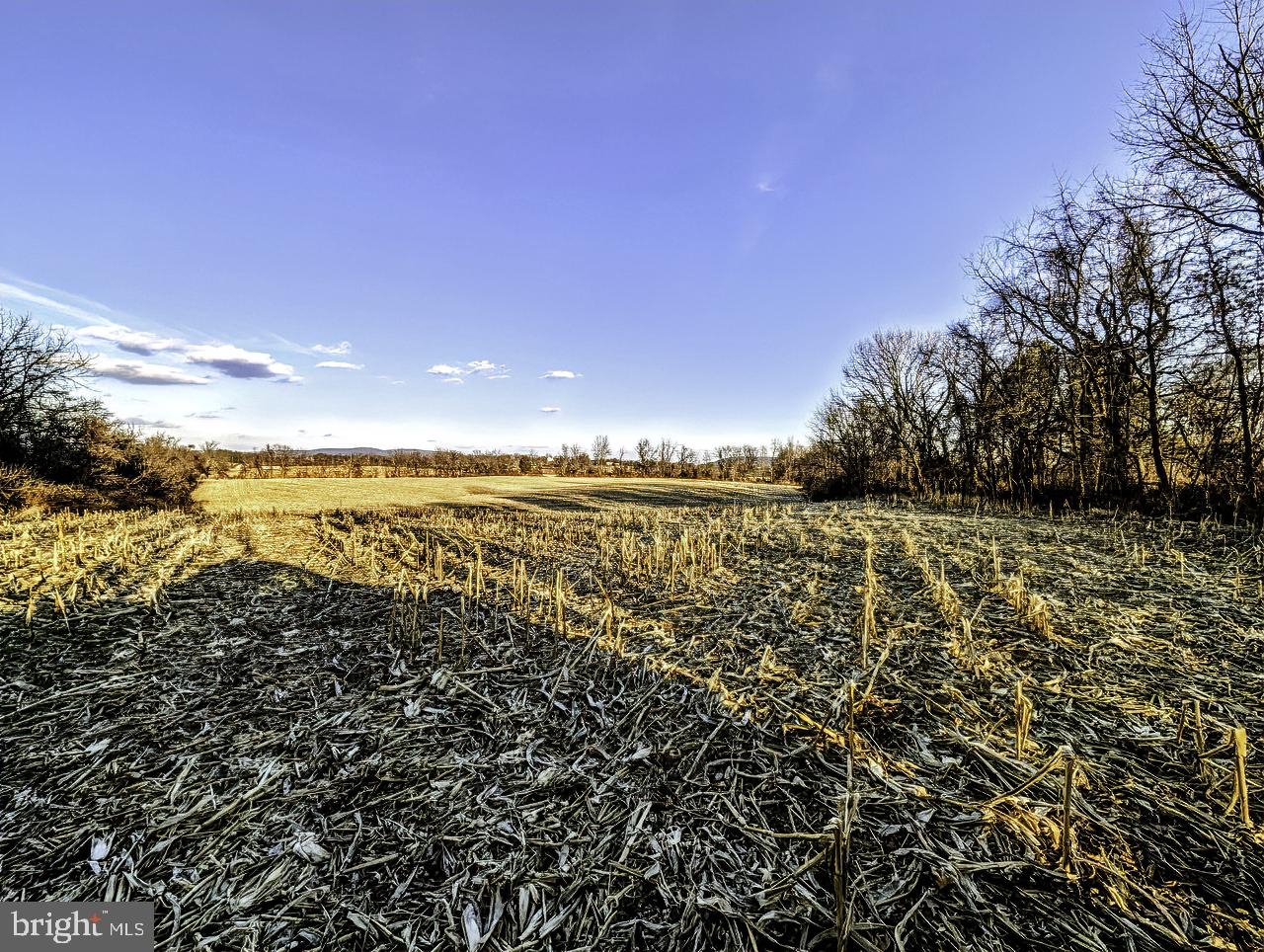 40455 QUARTER BRANCH RD, LOVETTSVILLE, Virginia 20180, ,Land,For Sale,40455 QUARTER BRANCH RD,VALO2113386 MLS # VALO2113386