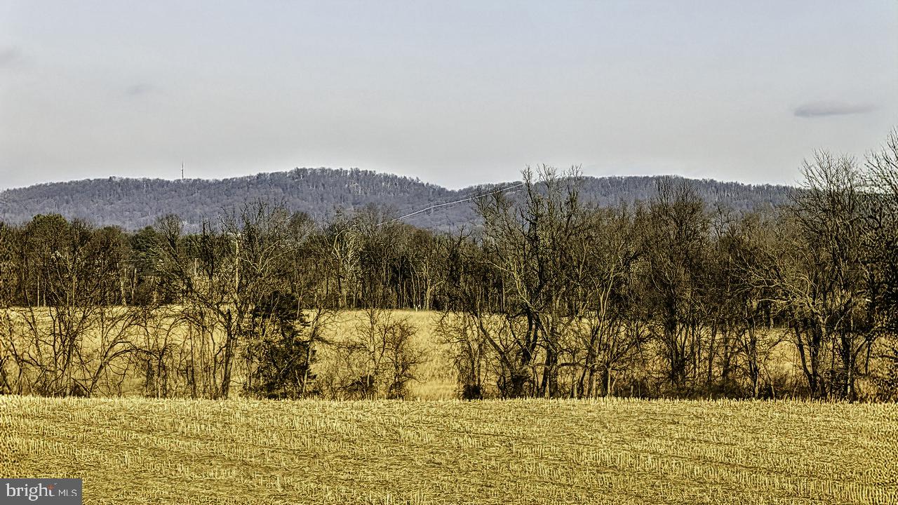 40455 QUARTER BRANCH RD, LOVETTSVILLE, Virginia 20180, ,Land,For Sale,40455 QUARTER BRANCH RD,VALO2113386 MLS # VALO2113386