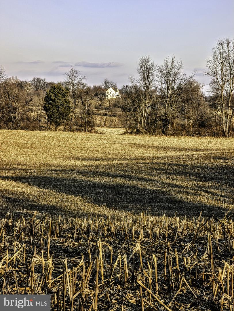 40455 QUARTER BRANCH RD, LOVETTSVILLE, Virginia 20180, ,Land,For Sale,40455 QUARTER BRANCH RD,VALO2113386 MLS # VALO2113386