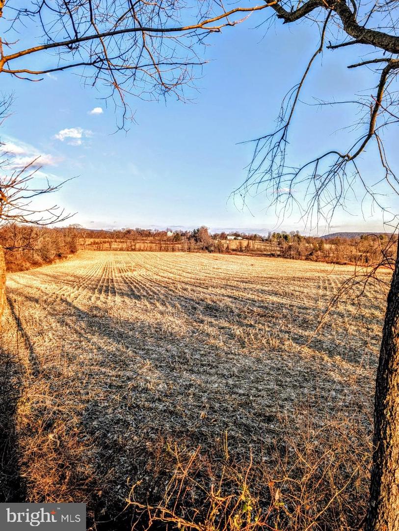 40455 QUARTER BRANCH RD, LOVETTSVILLE, Virginia 20180, ,Land,For Sale,40455 QUARTER BRANCH RD,VALO2113386 MLS # VALO2113386