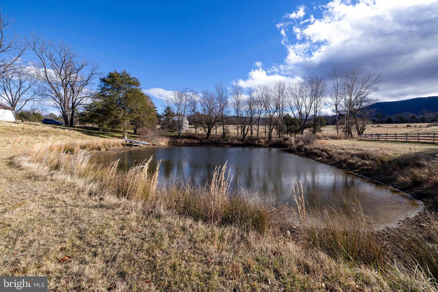 1159 PINE GROVE RD, STANLEY, Virginia 22851, 3 Bedrooms Bedrooms, 7 Rooms Rooms,1 BathroomBathrooms,Farm,For Sale,1159 PINE GROVE RD,VAPA2005826 MLS # VAPA2005826