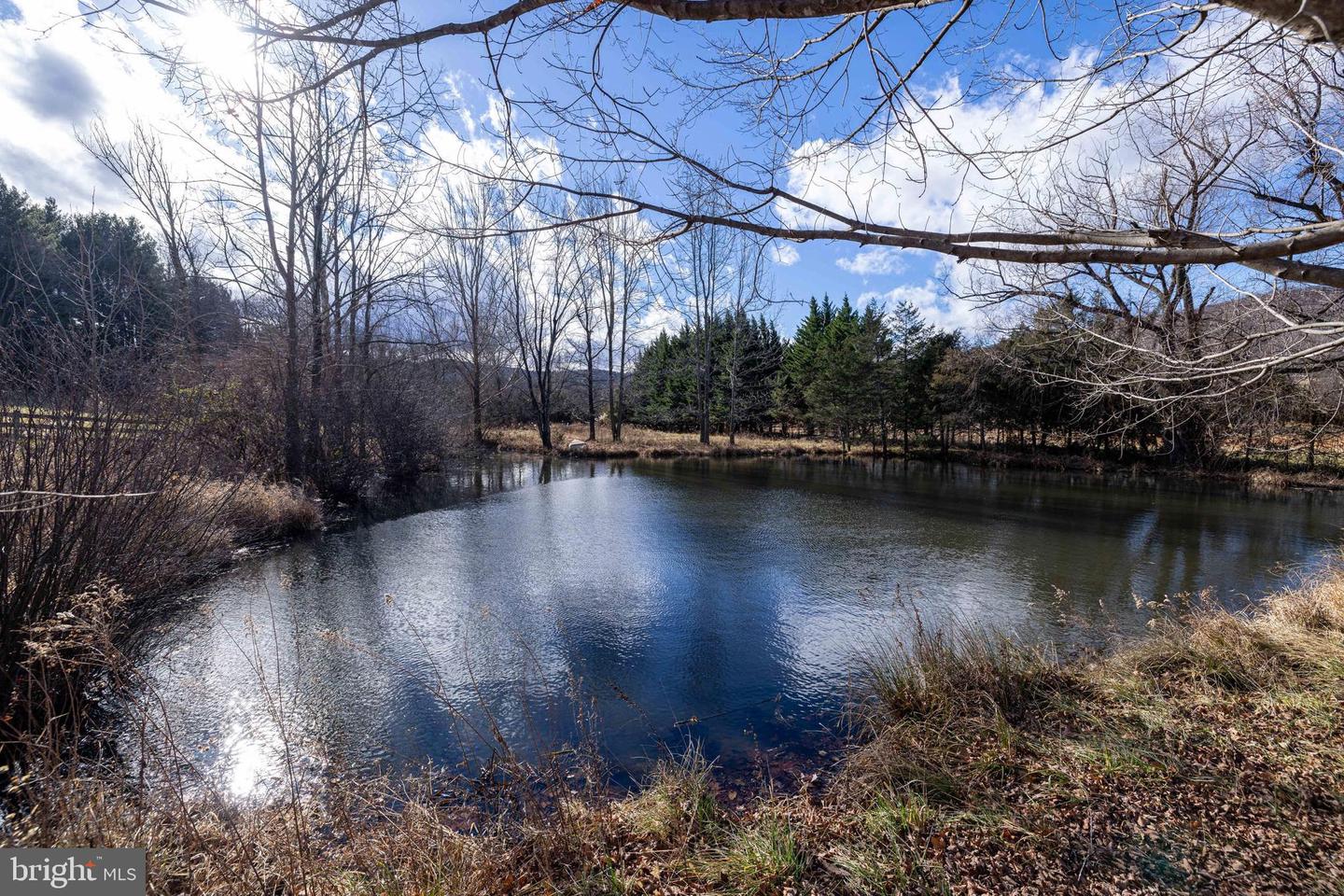 1159 PINE GROVE RD, STANLEY, Virginia 22851, 3 Bedrooms Bedrooms, 7 Rooms Rooms,1 BathroomBathrooms,Farm,For Sale,1159 PINE GROVE RD,VAPA2005826 MLS # VAPA2005826