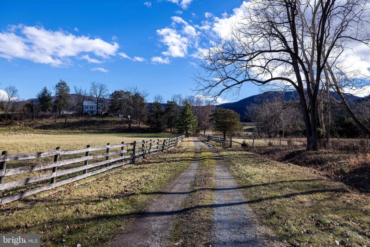 1159 PINE GROVE RD, STANLEY, Virginia 22851, 3 Bedrooms Bedrooms, 7 Rooms Rooms,1 BathroomBathrooms,Farm,For Sale,1159 PINE GROVE RD,VAPA2005826 MLS # VAPA2005826