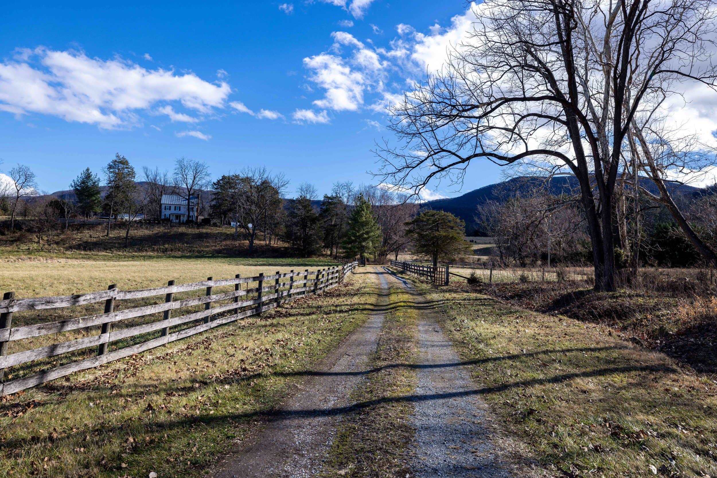 1159 PINE GROVE RD, STANLEY, Virginia 22851, 3 Bedrooms Bedrooms, ,1 BathroomBathrooms,Residential,14,1159 PINE GROVE RD,672228 MLS # 672228