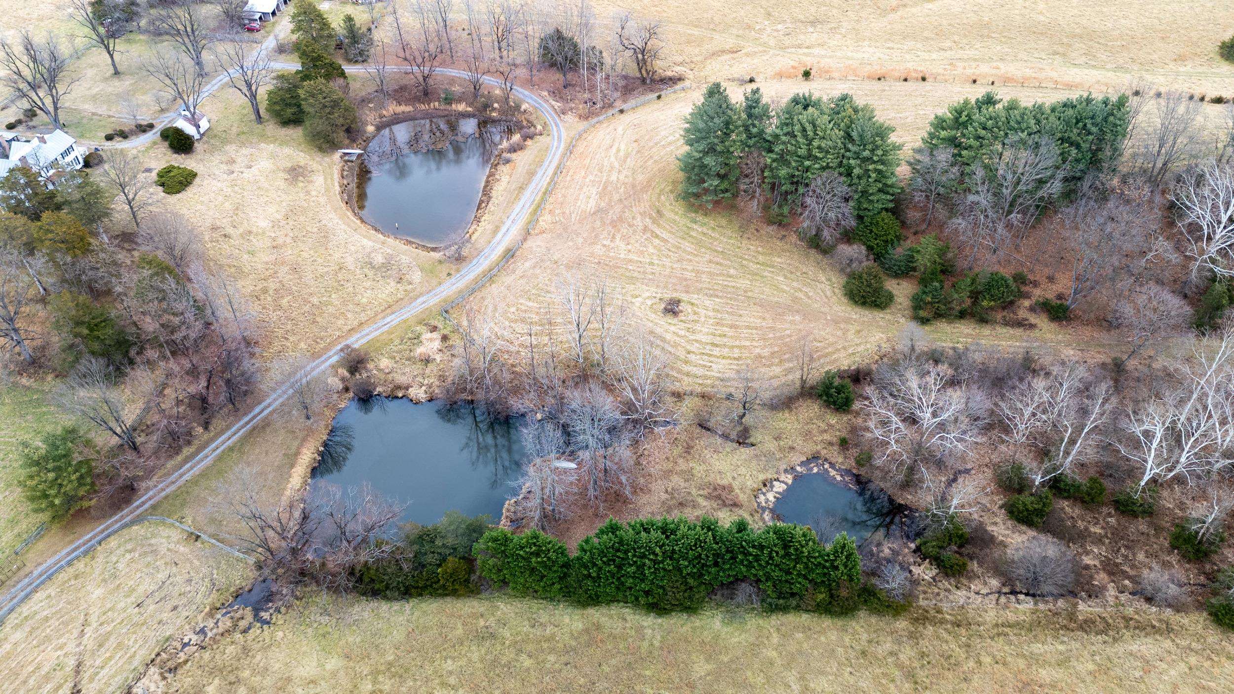 1159 PINE GROVE RD, STANLEY, Virginia 22851, 3 Bedrooms Bedrooms, ,1 BathroomBathrooms,Residential,14,1159 PINE GROVE RD,672228 MLS # 672228