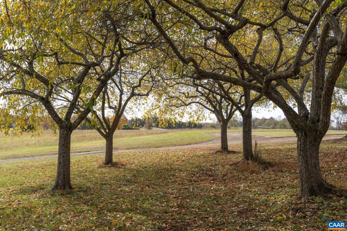 268 SPRINGDALE DR, KESWICK, Virginia 22947, 4 Bedrooms Bedrooms, ,4 BathroomsBathrooms,Residential,For Sale,268 SPRINGDALE DR,672249 MLS # 672249