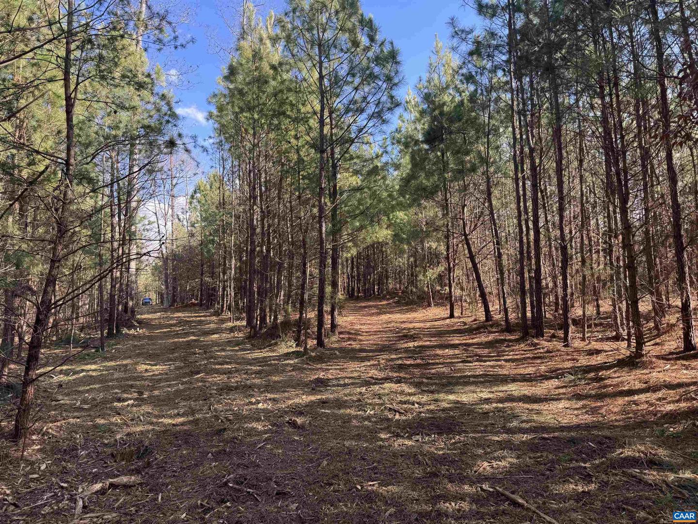 3860 GILBERT STATION RD, BARBOURSVILLE, Virginia 22923, ,Farm,For Sale,3860 GILBERT STATION RD,672279 MLS # 672279