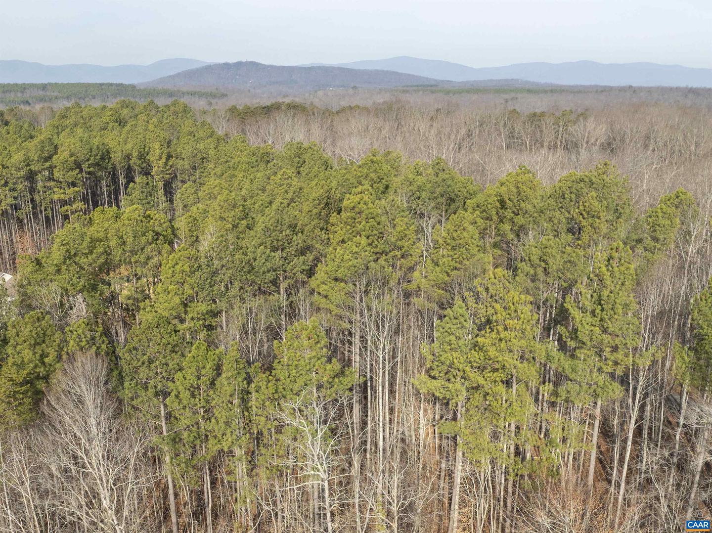 3860 GILBERT STATION RD, BARBOURSVILLE, Virginia 22923, ,Farm,For Sale,3860 GILBERT STATION RD,672279 MLS # 672279