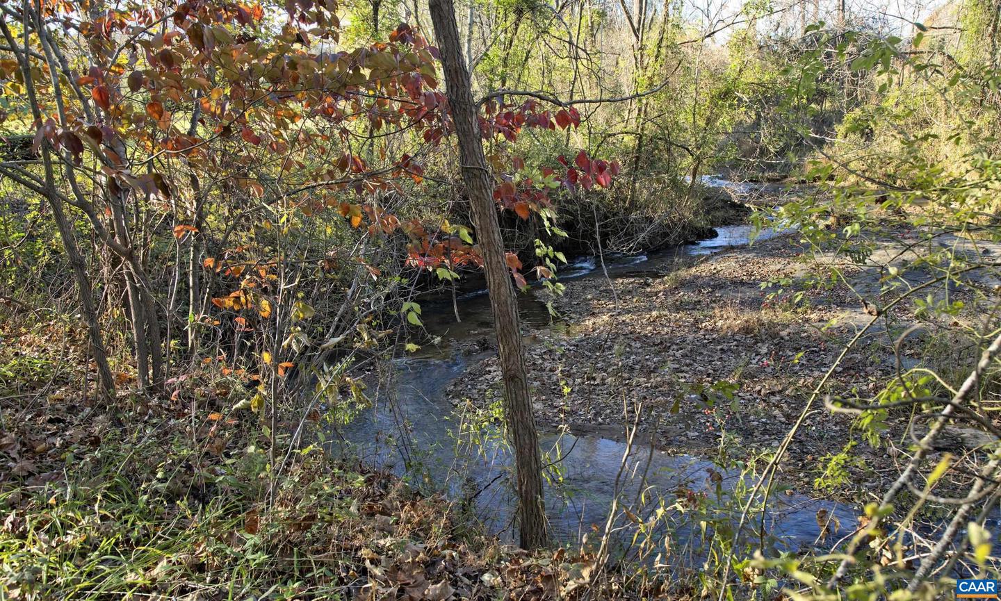 294 &amp; 262 FRESHWATER COVE LN, LOVINGSTON, Virginia 22949, 5 Bedrooms Bedrooms, ,5 BathroomsBathrooms,Residential,For Sale,294 &amp; 262 FRESHWATER COVE LN,672288 MLS # 672288