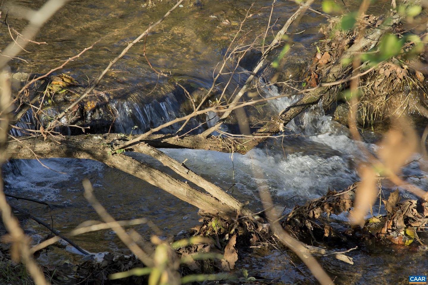 294 &amp; 262 FRESHWATER COVE LN, LOVINGSTON, Virginia 22949, 5 Bedrooms Bedrooms, ,5 BathroomsBathrooms,Residential,For Sale,294 &amp; 262 FRESHWATER COVE LN,672288 MLS # 672288