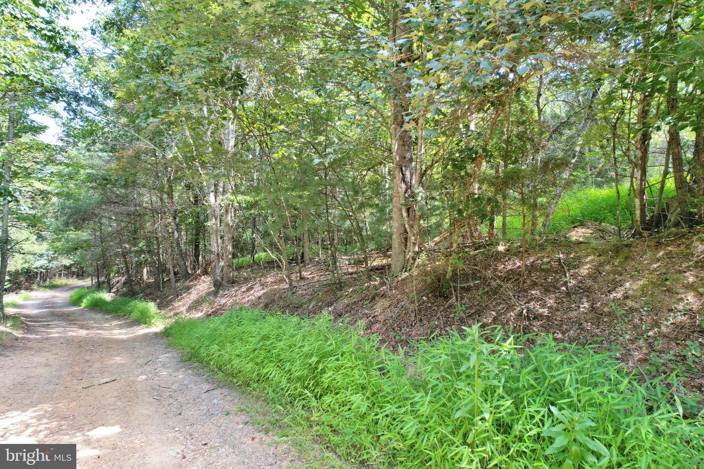 ALUM SPRINGS RD, EDINBURG, Virginia 22824, ,Land,For Sale,ALUM SPRINGS RD,VASH2013330 MLS # VASH2013330