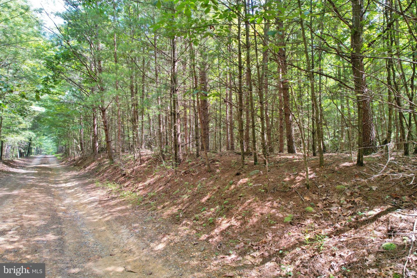 ALUM SPRINGS RD, EDINBURG, Virginia 22824, ,Land,For Sale,ALUM SPRINGS RD,VASH2013330 MLS # VASH2013330