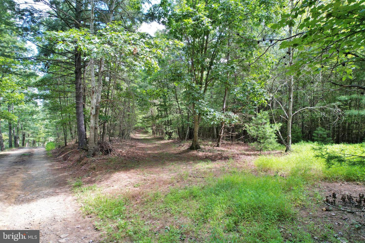 ALUM SPRINGS RD, EDINBURG, Virginia 22824, ,Land,For Sale,ALUM SPRINGS RD,VASH2013330 MLS # VASH2013330