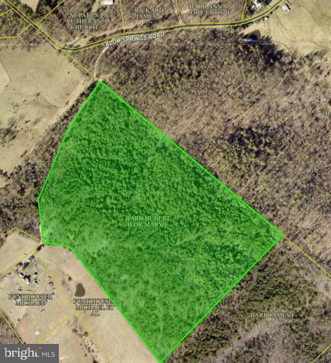 ALUM SPRINGS RD, EDINBURG, Virginia 22824, ,Land,For Sale,ALUM SPRINGS RD,VASH2013330 MLS # VASH2013330